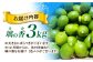 【長崎県長与町産】璃の香 （ りのか ） 約3kg レモン