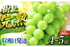 【ご家庭用】シャインマスカット 2kg前後（4～5房） 長与町/果豊園 [ECL012]