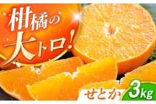 【露地栽培】せとか約3kg（12-15玉） 長与/JAじげもん長与直売所 [EAF008]