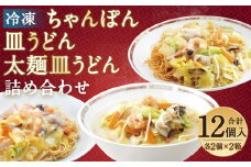 冷凍ちゃんぽん・皿うどん・冷凍太麺皿うどん 詰合せ 各2個×3種類×2箱 計12個