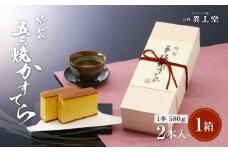 異人堂 特製 五三焼かすてら詰め合わせ 2号セット 580g×2本
