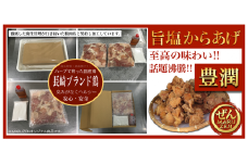 長崎ブランド鶏 唐揚げ セット 500g×2 計1kg 甘酢たれ付き