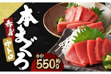 長崎県産 本マグロ2種盛り「中トロ・赤身」約550g【大村湾漁業協同組合】