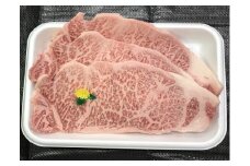 長崎和牛サーロインステーキセット（600g）
