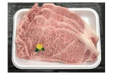 長崎和牛サーロインステーキセット（１ｋｇ）