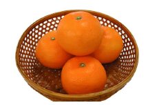 味ロマン みかん 約5kg 温州みかん 糖度12度 【長崎西彼農業協同組合】 長崎県産 くだもの 果物 フルーツ 【2024年12月上旬～2025年1月上旬迄発送予定】
