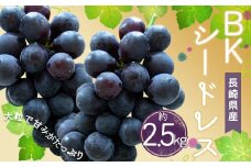 時津町産 BKシードレス 約2.5kg ぶどう 果物 くだもの フルーツ 【2025年8月下旬‐9月上旬迄発送予定】