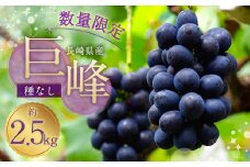 種なし巨峰 約2.5kg 種なし ぶどう 果物 くだもの フルーツ 長崎県産 【2025年8月下旬-9月上旬迄発送予定】