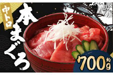 長崎県産 本マグロ「中トロ」約700g【大村湾漁業協同組合】