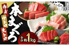 長崎県産 本マグロ3種盛り「大トロ・中トロ・赤身」約1.0kg【大村湾漁業協同組合】