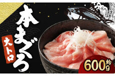 長崎県産 本マグロ「大トロ」約600g【大村湾漁業協同組合】
