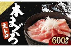 長崎県産 本マグロ「大トロ」約600g【大村湾漁業協同組合】