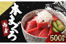 長崎県産 本マグロ「赤身」約500g【大村湾漁業協同組合】