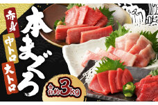 長崎県産 本マグロ3種盛り「大トロ・中トロ・赤身」約3kg【大村湾漁業協同組合】