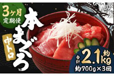 【3ヶ月定期便】長崎県産 本マグロ「中トロ」約700g 【大村湾漁業協同組合】 生食用