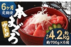 【6ヶ月定期便】長崎県産 本マグロ「中トロ」約700g 【大村湾漁業協同組合】 生食用