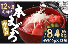 【12ヶ月定期便】長崎県産 本マグロ「中トロ」約700g 【大村湾漁業協同組合】 生食用