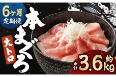 【定期便6回】長崎県産 本マグロ（養殖）大トロ 皮付き 約600g 生食用
