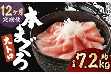 【定期便12回】長崎県産 本マグロ（養殖）大トロ 皮付き 約600g 生食用