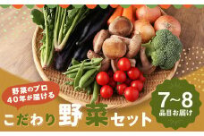 野菜のプロ40年が届ける こだわり野菜セット！ 7～8品目 詰め合わせ