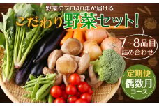 【定期便 偶数月コース】野菜のプロ40年が届ける こだわり野菜セット！ 7～8品目 詰め合わせ