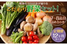 【定期便 12回コース】野菜のプロ40年が届ける こだわり野菜セット！ 7～8品目 詰め合わせ