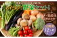 野菜のプロ40年が届ける こだわり野菜セット！ 7～8品目 詰め合わせ