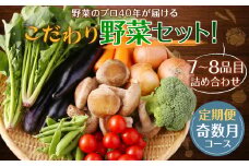 【定期便 奇数月コース】野菜のプロ40年が届ける こだわり野菜セット！ 7～8品目 詰め合わせ