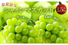 長崎県産 シャインマスカット 約1.5kg ぶどう フルーツ【2025年8月下旬‐9月下旬迄発送予定】