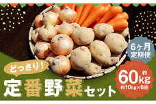 【定期便 6回コース】定番野菜セット定期便 どっさり！約10kg×6回コース じゃがいも 玉ねぎ にんじん かぼちゃ