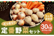 【定期便 3回コース】定番野菜セット定期便 どっさり！約10kg×3回コース じゃがいも 玉ねぎ にんじん かぼちゃ