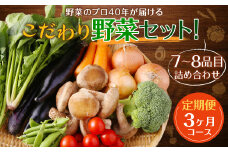 【定期便 3ヶ月コース】 野菜のプロ40年が届けるこだわり野菜セット！ 7～8品目 詰め合わせ