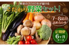 【定期便 6ヶ月コース】野菜のプロ40年が届けるこだわり野菜セット！ 7～8品目 詰め合わせ