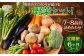 【定期便 6ヶ月コース】野菜のプロ40年が届けるこだわり野菜セット！ 7～8品目 詰め合わせ