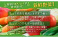 【定期便 6ヶ月コース】野菜のプロ40年が届けるこだわり野菜セット！ 7～8品目 詰め合わせ