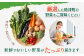 【定期便 6ヶ月コース】野菜のプロ40年が届けるこだわり野菜セット！ 7～8品目 詰め合わせ