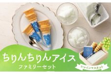 【数量限定！】ちりんちりんアイス ファミリーセット（シャインマスカット） コーン＆ミニヘラ付き 