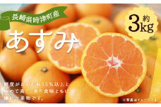 【数量限定】長崎県 時津町産 あすみ 約3kg 柑橘 果物【2025年2月下旬-３月下旬迄発送予定】