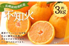 【数量限定】長崎県 時津町産 不知火 約3kg 柑橘 果物【2025年3月下旬-4月上旬迄発送予定】