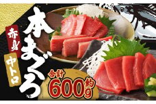 長崎県産 本マグロ2種盛り「赤身・中とろ」計600g【大村湾漁業協同組合】