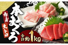 長崎県産 本マグロ2種盛り「赤身・大とろ」計1kg【大村湾漁業協同組合】