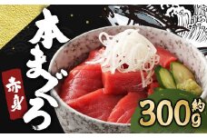 長崎県産 本マグロ赤身 300g 2人前～3人前 【大村湾漁業協同組合】