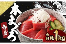 長崎県産 本マグロ赤身 1kg 8人前～10人前 【大村湾漁業協同組合】