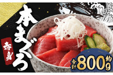 長崎県産 本マグロ赤身 800g 6人前～7人前 【大村湾漁業協同組合】