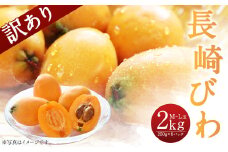 【傷ありのため訳あり】 長崎びわ 2kg（250g×8パック） M～Lサイズ 【2025年5月下旬～6月上旬迄発送予定】