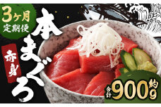 【3ヶ月定期便】長崎県産 本マグロ 赤身 300g 2人前～3人前 鮪 魚 刺身  【大村湾漁業協同組合】