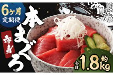 【6ヶ月定期便】長崎県産 本マグロ 赤身 300g 2人前～3人前 鮪 魚 刺身 【大村湾漁業協同組合】