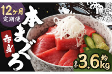 【12ヶ月定期便】長崎県産 本マグロ 赤身 300g 2人前～3人前 鮪 魚 刺身 【大村湾漁業協同組合】