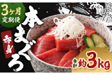 【3ヶ月定期便】長崎県産 本マグロ 赤身 1kg 8人前～10人前 鮪 魚 刺身 【大村湾漁業協同組合】