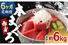 【6ヶ月定期便】長崎県産 本マグロ 赤身 1kg 8人前～10人前 鮪 魚 刺身 【大村湾漁業協同組合】